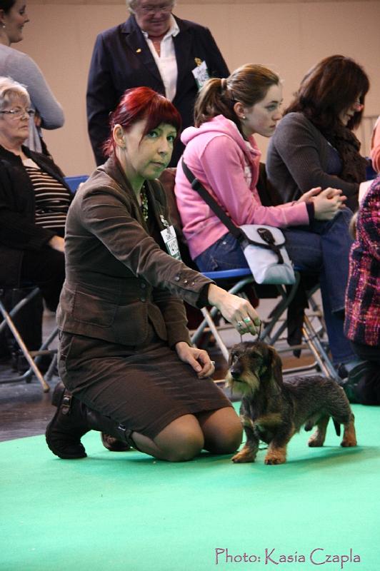 Crufts2011_2 629.jpg